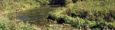 River Itchen